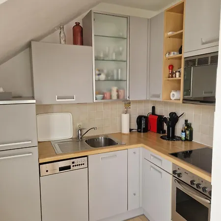 Traunkai Zauner Blick Apartment