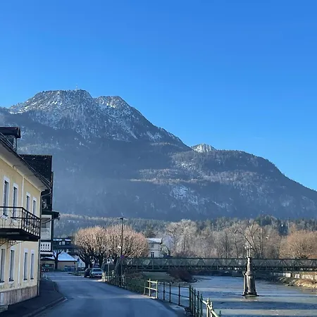 Traunkai Zauner Blick *