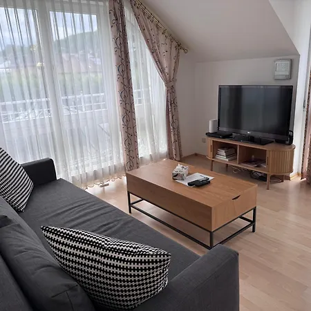 Appartamento Traunkai Zauner Blick